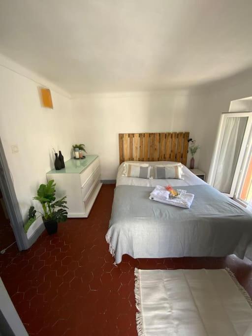 Appartement Typique Nicois En Plein Centre Ville Nizza Esterno foto